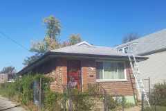 shaw-before