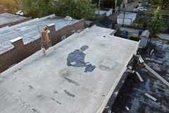 whitlo-before