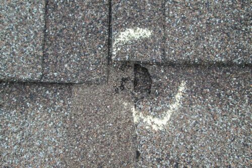 What to Do After a Hailstorm: Schedule a Hail Damage Inspection